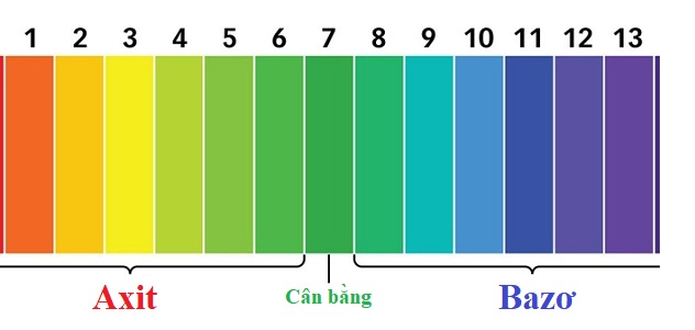 Tính chất hoá học của axit