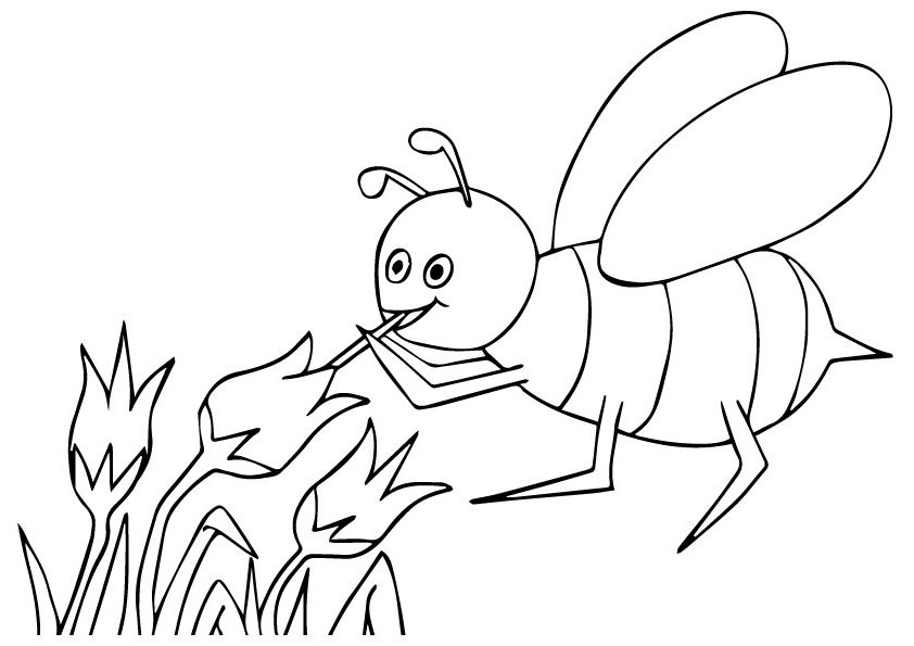 Loạt tranh tô màu con ong hút mật giúp bé phát triển trí tưởng tượng