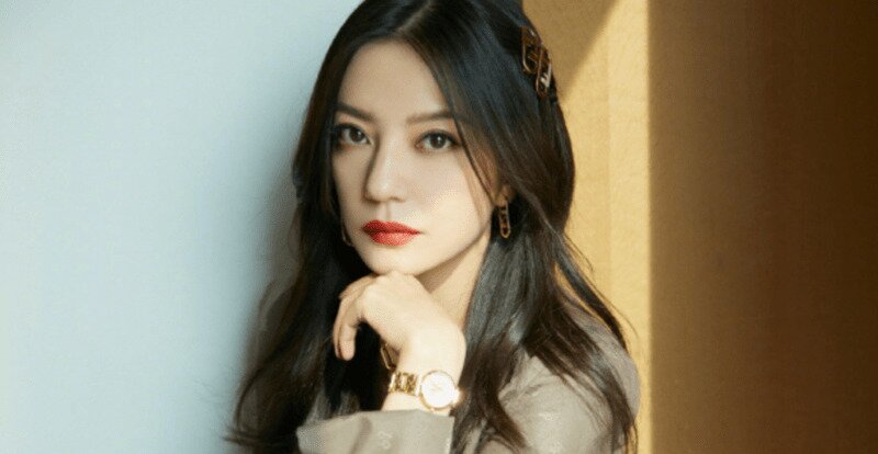 Triệu Vy là ai?