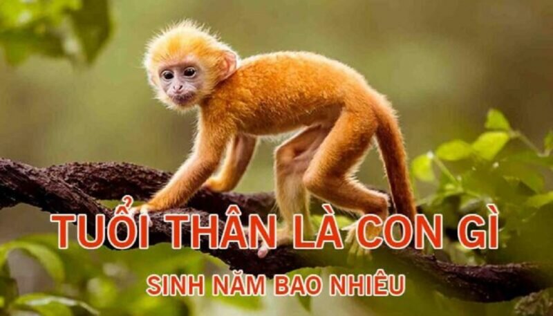 Tuổi Thân gồm những năm sinh nào?