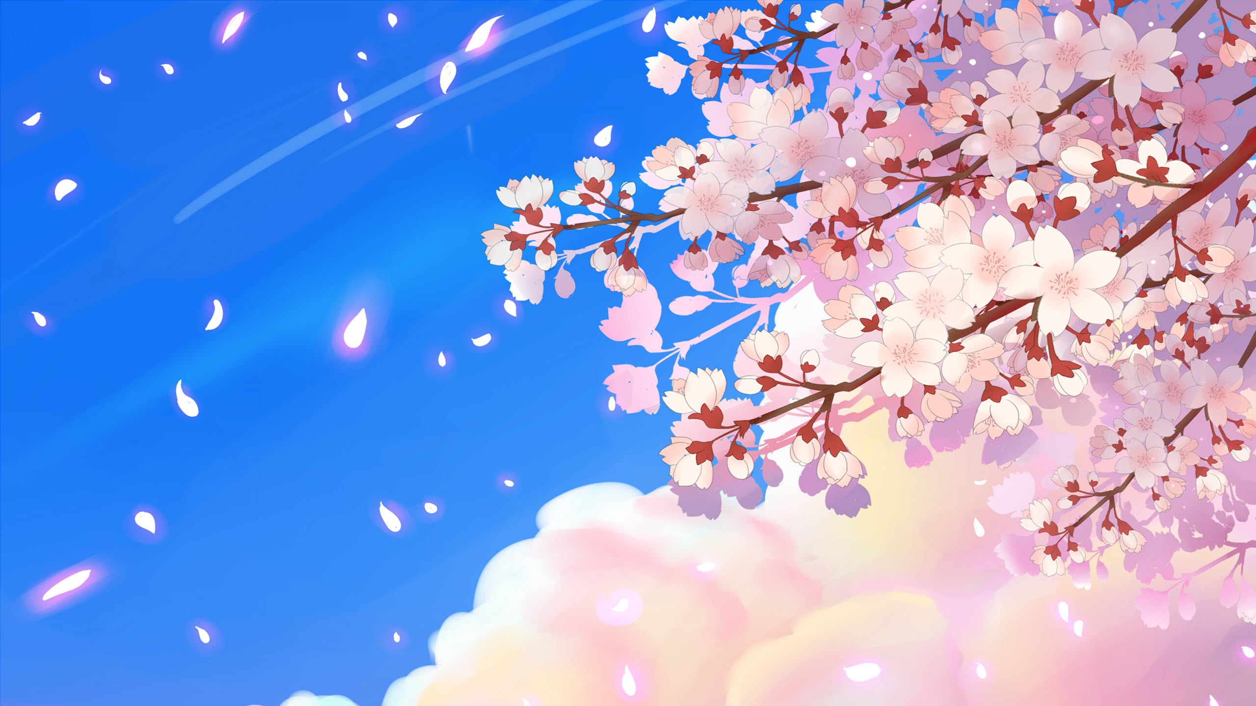Hình ảnh hoa anh đào anime đẹp miễn chê