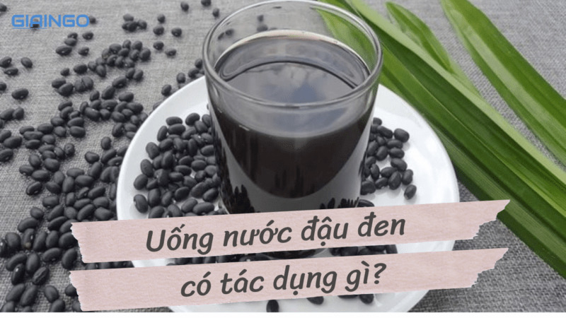 Uống nước đậu đen có tác dụng gì? Tác dụng của nước đậu đen