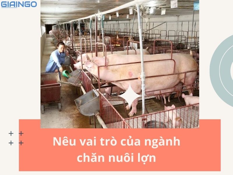 Nêu vai trò của ngành chăn nuôi lợn đối với phát triển nông nghiệp ở đồng bằng sông Hồng