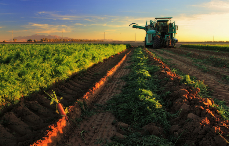 Nêu những nguyên nhân làm cho nông nghiệp châu Âu đạt hiệu quả cao