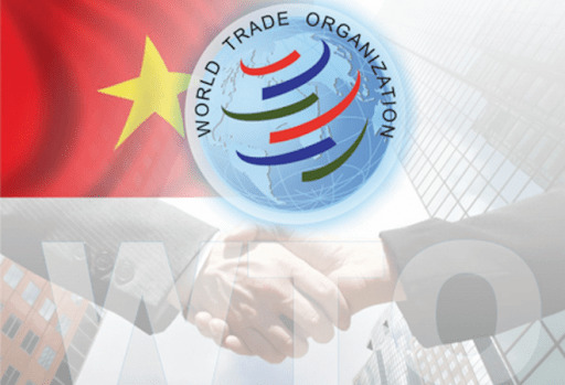 Việt Nam gia nhập WTO năm nào?