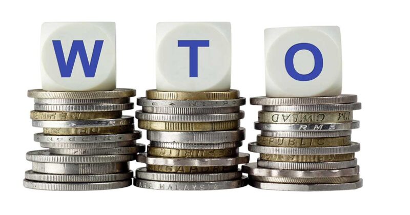 Vai trò của tổ chức thương mại thế giới WTO là gì?