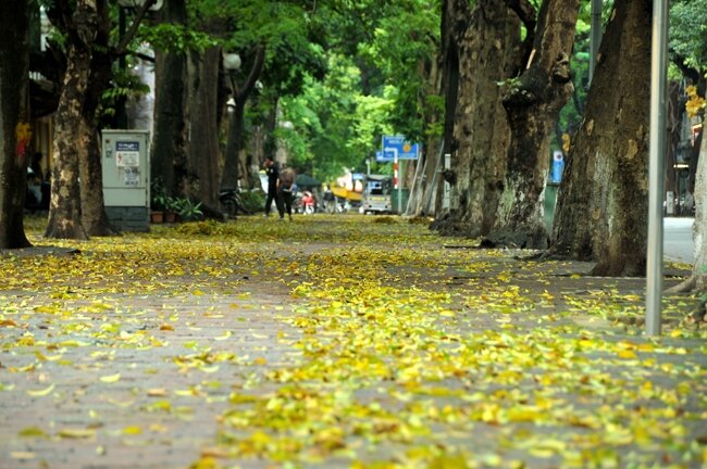 Mạch cảm xúc của bài thơ Sang thu là gì?