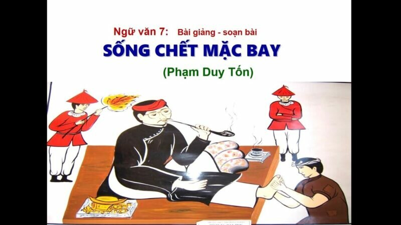 Giải thích ý nghĩa nhan đề Sống chết mặc bay