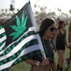 420 là gì? Giải thích ý nghĩa con số 420 chính xác nhất