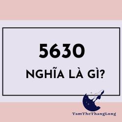 5630 là gì? Giải mã con số 5630 trong tình yêu