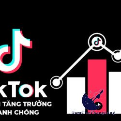 Bao nhiêu Follow thì được kiếm tiền trên TikTok?