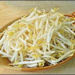Cách làm giá đỗ? 10 cách làm giá đỗ nhanh mọc nhất