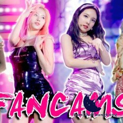 Harem là gì trong Kpop? Một số thuật ngữ các fan Kpop cần biết