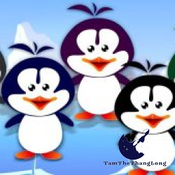 Tổng hợp 100 hình ảnh chim cánh cụt đẹp dễ thương, siêu cute