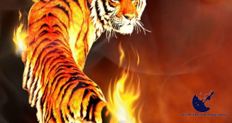 [Cập Nhật] 1001+ hình ảnh con hổ 3D đẹp, vô cùng dũng mãnh| Tamthethanglong
