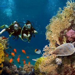 Maldives ở đâu? Cẩm nang du lịch Quốc đảo Maldives chi tiết