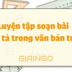 Soạn bài Miêu tả trong văn bản tự sự Ngữ văn 9 chi tiết nhất
