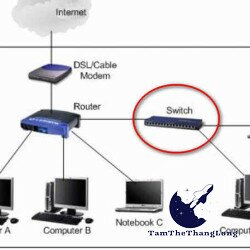 Switch là gì? Lợi ích của việc sử dụng thiết bị Switch