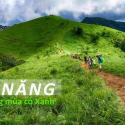 Tà Năng ở đâu? Tại sao bạn không nên đi Tà Năng?