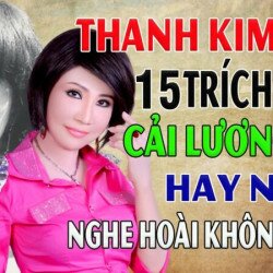 Thanh Kim Huệ là ai? NSƯT Thanh Kim Huệ qua đời vì ung thư