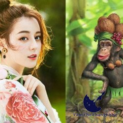 Phong thủy tuổi Thân hợp màu gì? Tuổi Thân khắc màu gì?