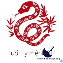 Tuổi Tỵ hợp màu gì? Phong thủy tuổi Tỵ trong năm 2021