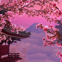 Tuyển Tập Những Hình Ảnh Hoa Anh Đào Nhật Bản Đẹp Ngất Ngây
