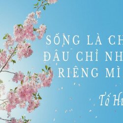 Vì sao người có lương tâm được xã hội đánh giá cao? Một số phạm trù của đạo đức học