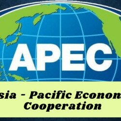 Việt Nam gia nhập APEC năm nào? Cột mốc năm 1998 có ý nghĩa với Việt Nam như thế nào?