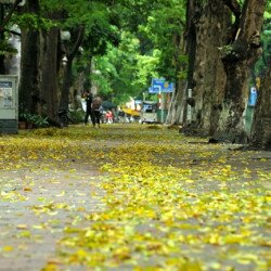 Ý nghĩa nhan đề Sang thu là gì? Phân tích ý nghĩa nhan đề