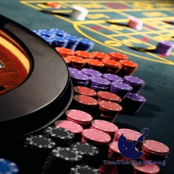 Game casino là gì? Tất tần tật về Game casino cho người mới